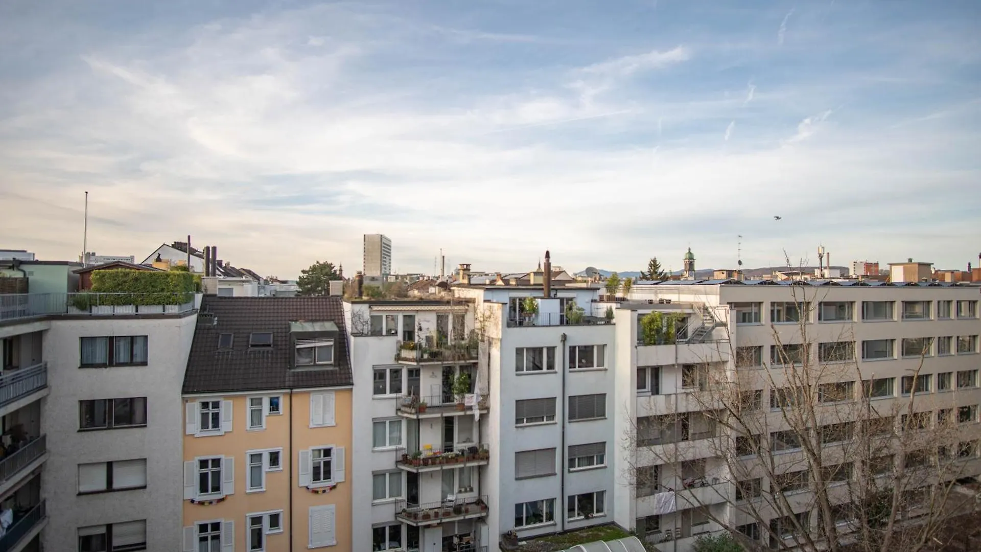 Apartment Next To Rhine With Free Baselcard Switzerland