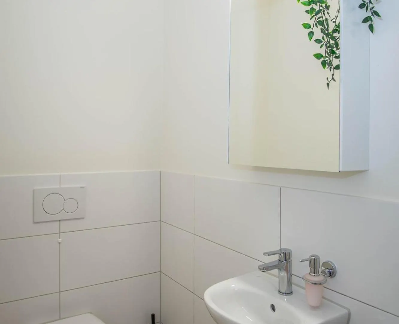 Apartment Next To Rhine With Free Baselcard